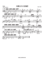 Birds of a feather – Billie Eilish